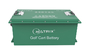 Batterie del ferro LiFEPO4 del litio della batteria del carretto di golf dell'automobile 48V di golf