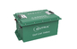 Litio ricaricabile Ion Battery For Golf Cart 51v/di 48v 56ah LiFePO4