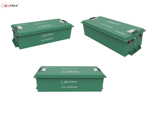Vita di ciclo lunga libera di golf 48V del carretto LiFePO4 di inquinamento leggero della batteria